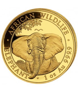 1 x 1 oz Gold Somalia Elefant 2021