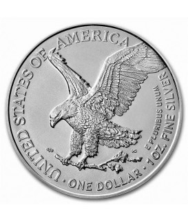 1 x 1 Oz Silber American Eagle