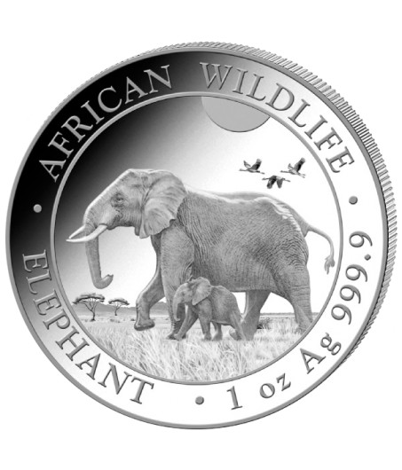 1 x 1 Oz Silber Somalia Elefant 2022*