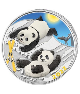 30 g Silber China Panda color 2022*