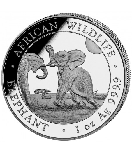 1 x 1 Oz Silber Somalia Elefant 2024