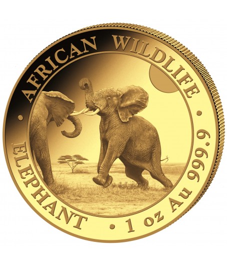 1 x 1 oz Gold Somalia Elefant 2024