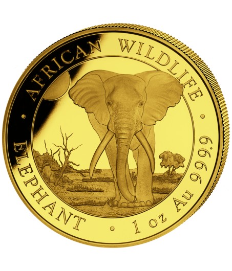 1 x 1 oz Gold Somalia Elefant 2024