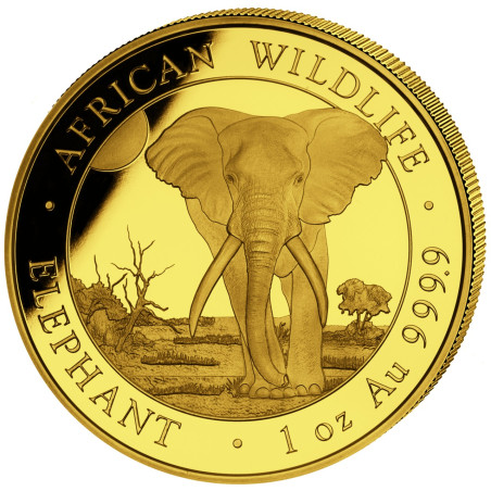 1 x 1 oz Gold Somalia Elefant 2024