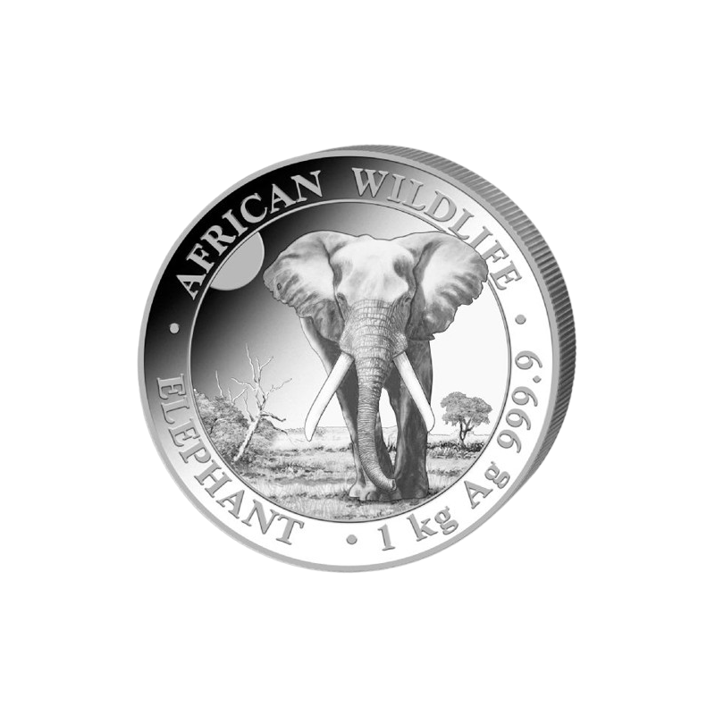 1 kg Silber Somalia Elefant 2025