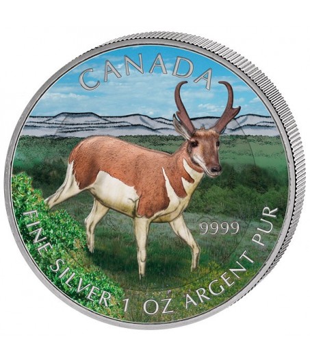 1 x 1 Oz Silber Wildlife Antilope 2013--color
