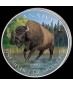1 x 1 Oz Silber Wildlife Bison 2013--color