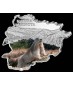 1 x 1 Oz Silber Andorra Wildlife Murmeltier color