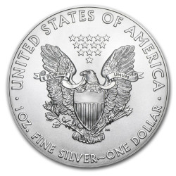 1 x 1 Oz Silber American Eagle 2007*