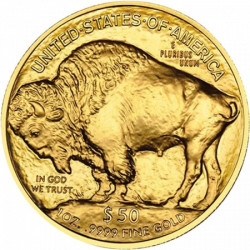 1 x 1 Oz Gold American Buffalo 21