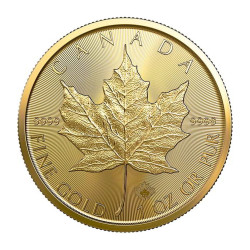 1 x 1 Oz Gold Maple Leaf 2024