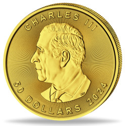 1 x 1 Oz Gold Maple Leaf divers