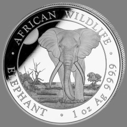 1 x 1 Oz Silber Somalia Elefant 2025