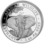 1 x 1 Oz Silber Somalia Elefant 2021* 1 x 1 Oz Silber Somalia Elefant 2021*