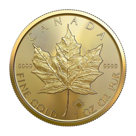 1 x 1 Oz Gold Maple Leaf 2024