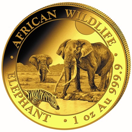 1 oz Gold Somalia Elefant 2026