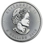 1 Oz Silber Maple Leaf 2013* 1 Oz Silber Maple Leaf 2013*