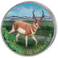1 x 1 Oz Silber Wildlife Antilope 2013--color* 1 x 1 Oz Silber Wildlife Antilope 2013--color*
