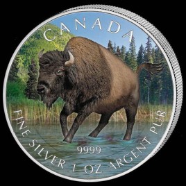 1 x 1 Oz Silber Wildlife Bison 2013--color