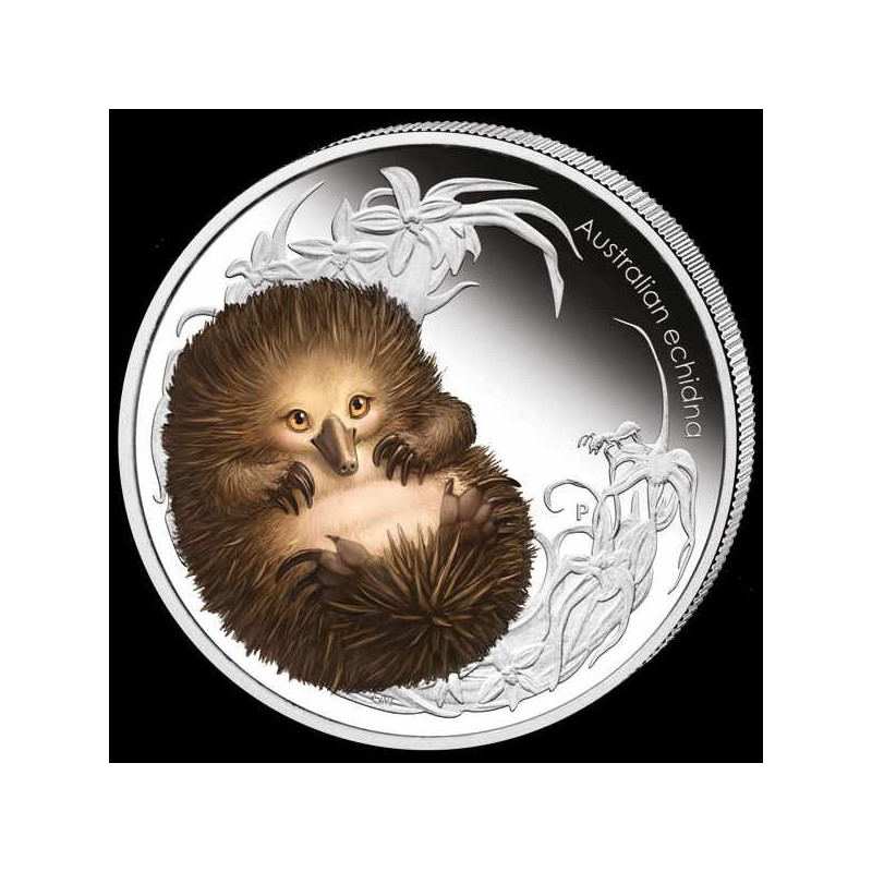 1 x  Silber Australian Bush-Babies 2013--color