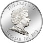 1 x 20 g Silber Falkenpektoral 2012 color*